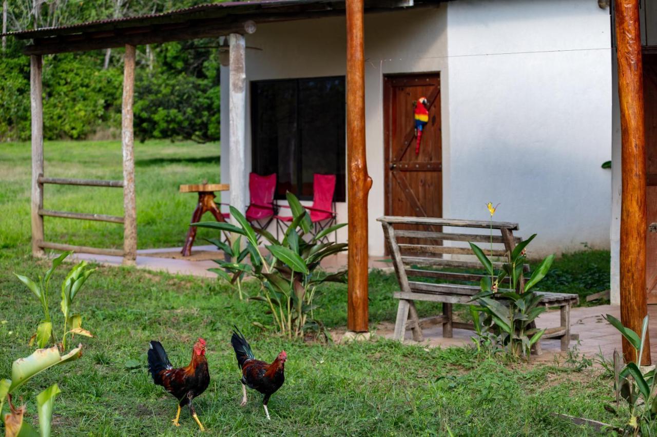 Oso De Osa Hotel Sierpe Kültér fotó
